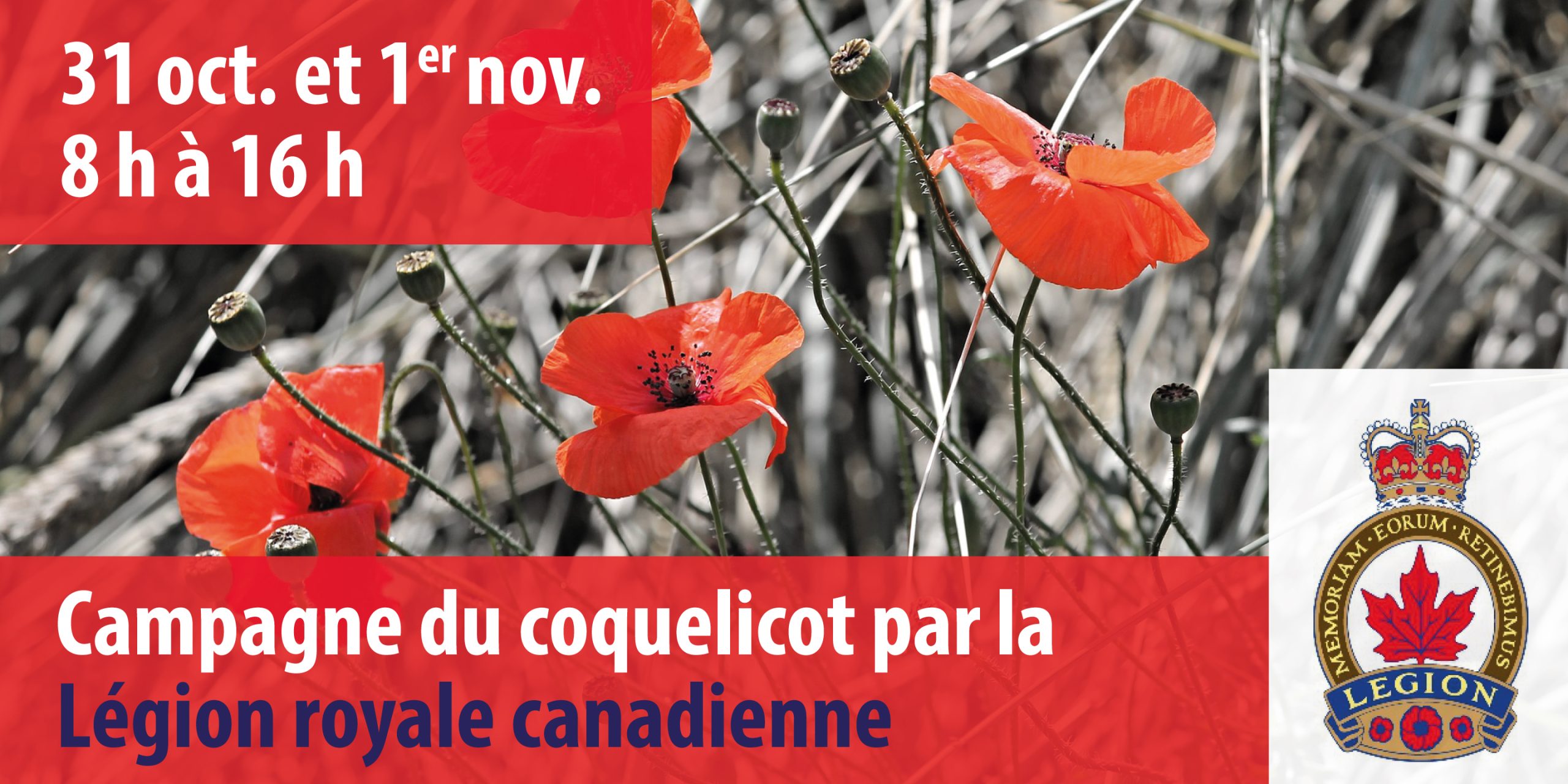 Panneau - Campagne du coquelicot 2025 - Légion royale canadienne